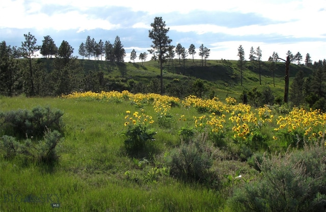 151 Big Clearing Rd, Roundup, MT 59072