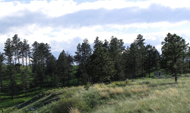 151 Big Clearing Rd, Roundup, MT 59072