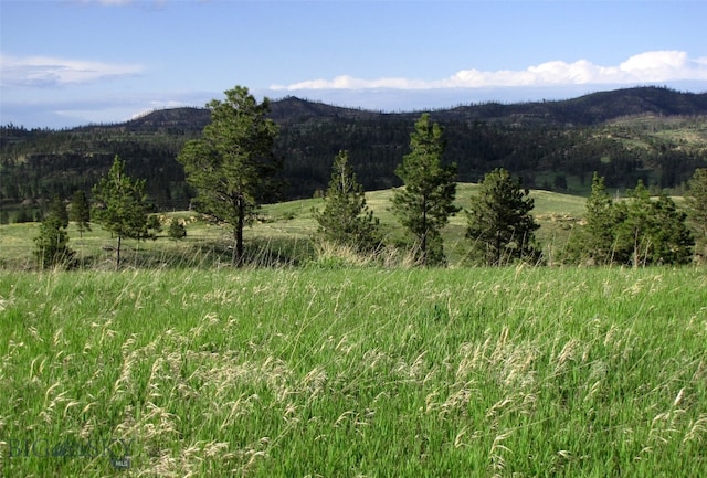 151 Big Clearing Rd, Roundup, MT 59072