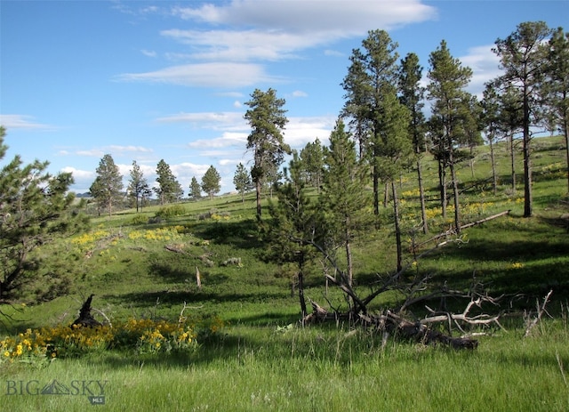 151 Big Clearing Rd, Roundup, MT 59072