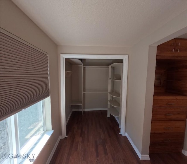 719 S Atlantic, Dillon, MT 59725 - photo 29