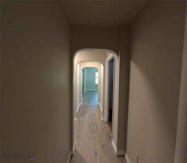 719 S Atlantic, Dillon, MT 59725 - photo 30