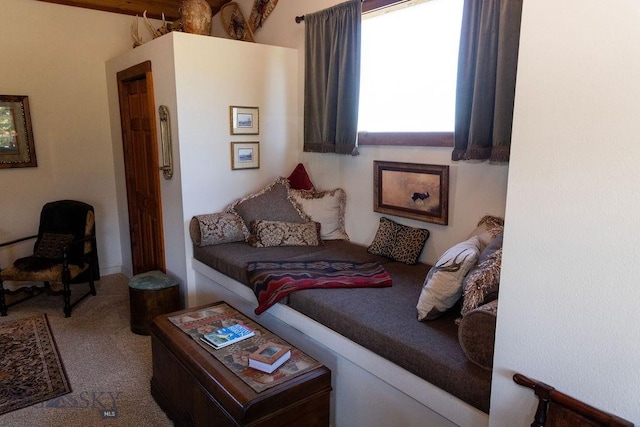 16 Wilson Rd, Livingston, MT 59047 - living area with carpet floors
