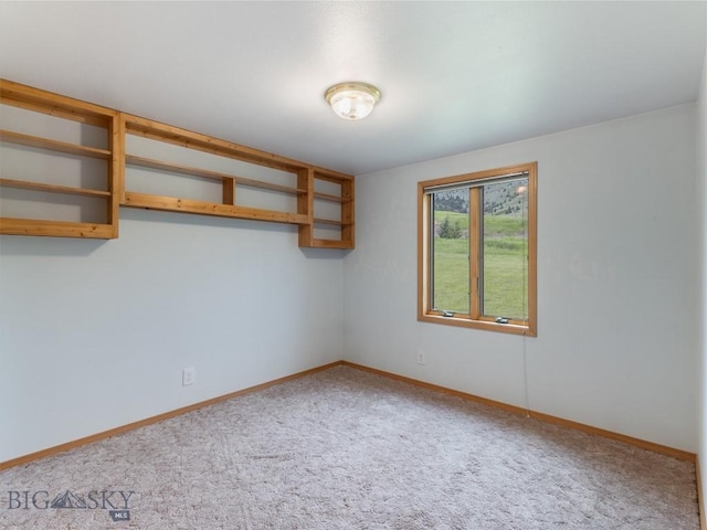 10 Sunflower Ln, Livingston, MT 59047 - photo 23