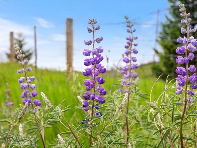 10 Sunflower Ln, Livingston, MT 59047 - photo 4