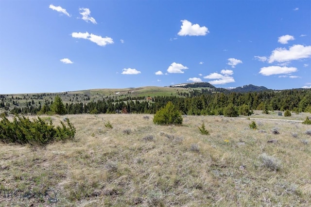 48 Axolotl Ranch Rd, Ennis, MT 59729 - view of mountain background