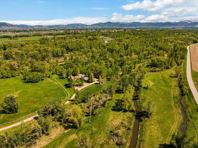5350 River Rd, Bozeman, MT 59718 - photo 12