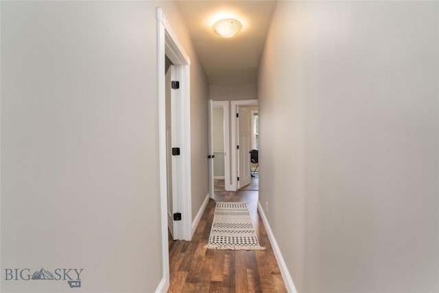 316 N Tracy Ave, Bozeman, MT 59715 - photo 29