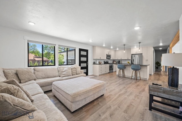 420 N 6th Ave, Bozeman, MT 59715 - living area with recessed lighting and light wood-style floors