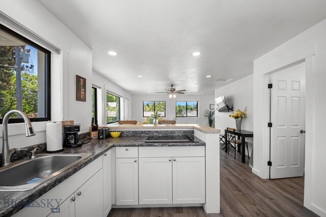 420 N 6th Ave, Bozeman, MT 59715 - kitchen with a sink, a peninsula, recessed lighting, healthy amount of natural light, and dark wood-style floors