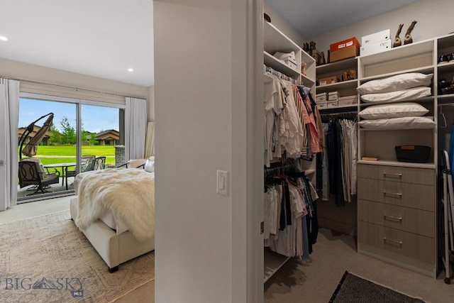 47 Wickwire, Bozeman, MT 59718 - walk in closet featuring carpet flooring