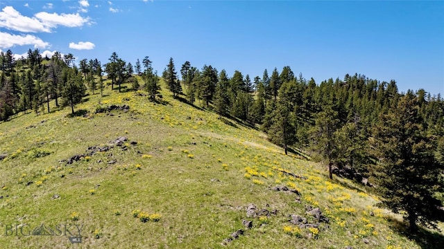 0 Novak Creek Ln, Cascade, MT 59421