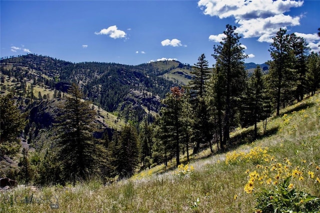 0 Novak Creek Ln, Cascade, MT 59421