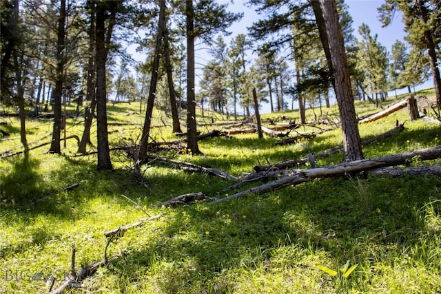 0 Novak Creek Ln, Cascade, MT 59421
