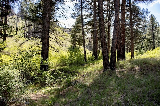 0 Novak Creek Ln, Cascade, MT 59421