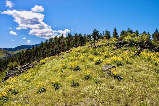 0 Novak Creek Ln, Cascade, MT 59421