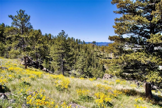 0 Novak Creek Ln, Cascade, MT 59421