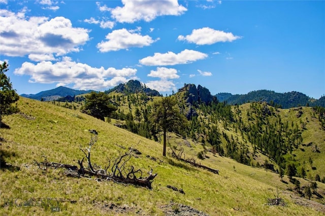 0 Novak Creek Ln, Cascade, MT 59421