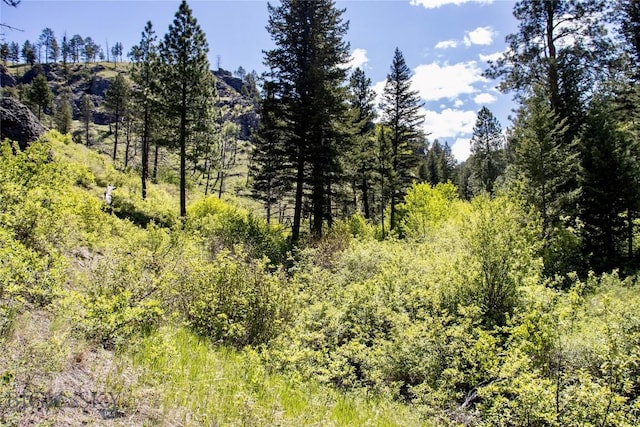 0 Novak Creek Ln, Cascade, MT 59421