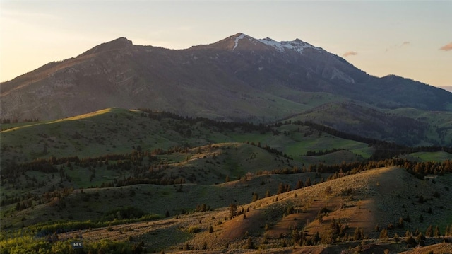 2355 Sawmill Rd, Bozeman, MT 59715 - photo 66
