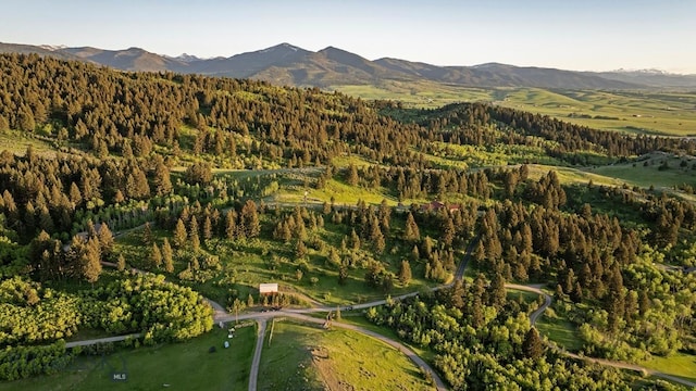 2355 Sawmill Rd, Bozeman, MT 59715 - photo 74