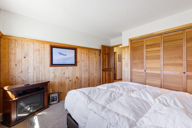 25 Trail Creek Rd, Ennis, MT 59729 - carpeted bedroom with a closet and wood walls