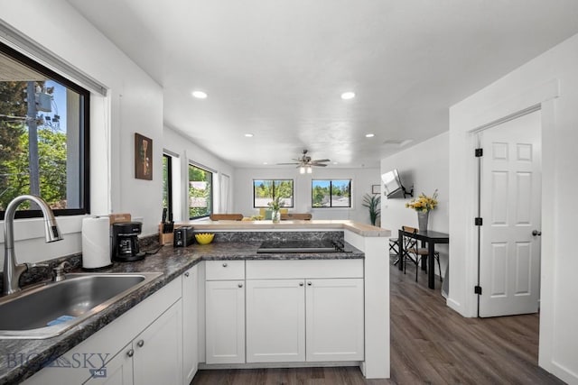 420 N 6th Ave, Bozeman, MT 59715 - kitchen with a sink, a peninsula, recessed lighting, healthy amount of natural light, and dark wood-style floors