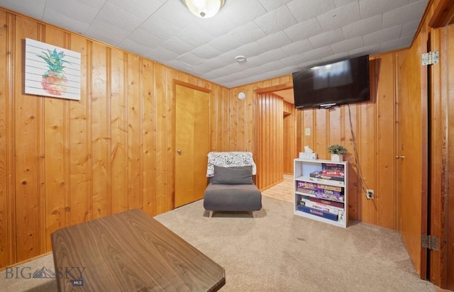 420 N 6th Ave, Bozeman, MT 59715 - sitting room with carpet flooring and wood walls