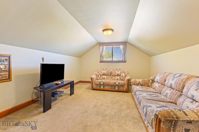510 N 23rd, Bozeman, MT 59718 - photo 60