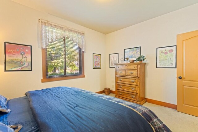 510 N 23rd, Bozeman, MT 59718 - photo 46