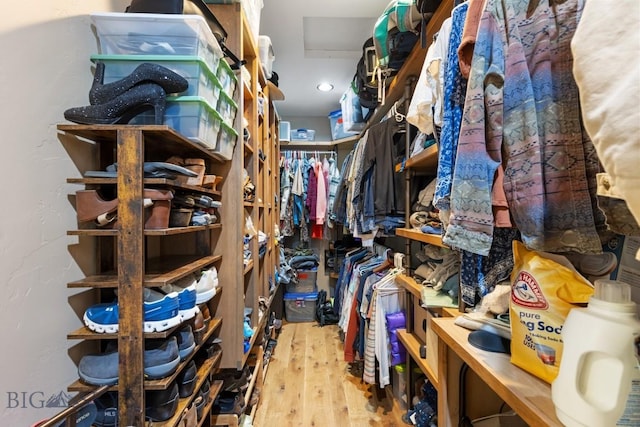 715 Bates Rd, Manhattan, MT 59741 - walk in closet featuring wood finished floors