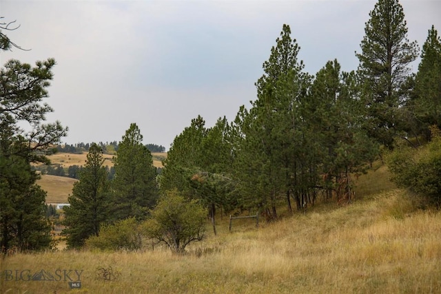 996 Forest Grove Rd, Lewistown, MT 59457 - view of undeveloped land