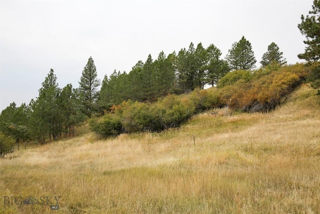 996 Forest Grove Rd, Lewistown, MT 59457 - view of nature