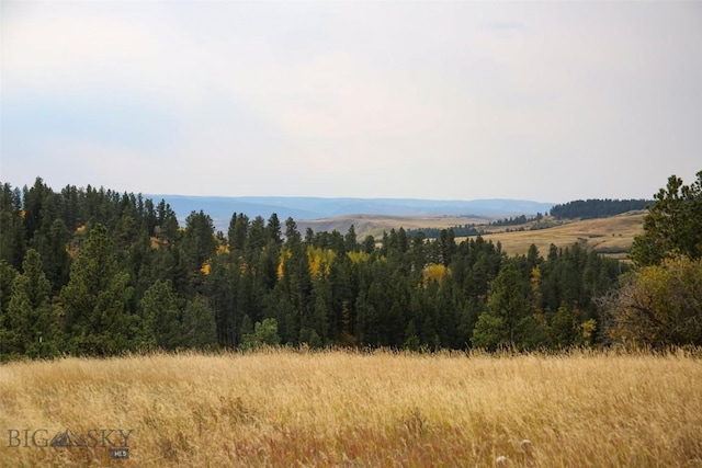 996 Forest Grove Rd, Lewistown, MT 59457 - view of mountain backdrop