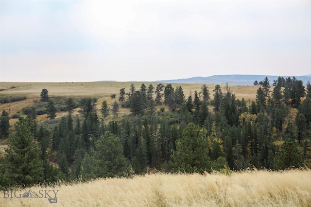 996 Forest Grove Rd, Lewistown, MT 59457 - view of mountain backdrop