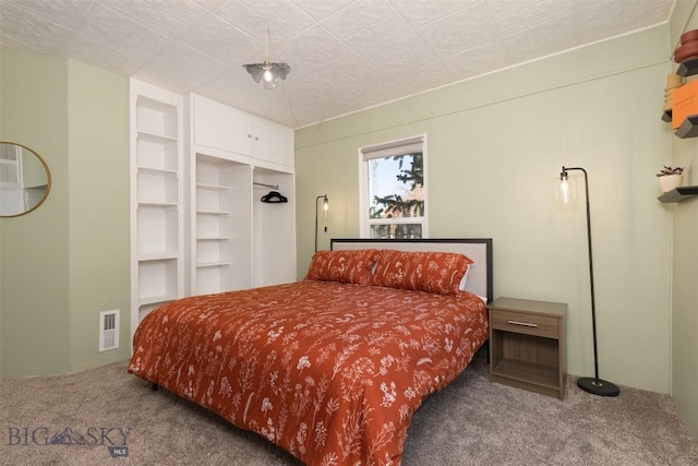 209 S Tracy, Bozeman, MT 59715 - view of carpeted bedroom
