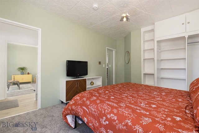 209 S Tracy, Bozeman, MT 59715 - bedroom with carpet floors and a closet