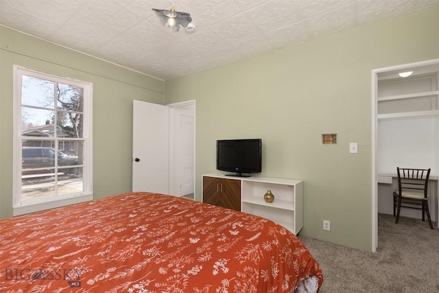 209 S Tracy, Bozeman, MT 59715 - view of carpeted bedroom