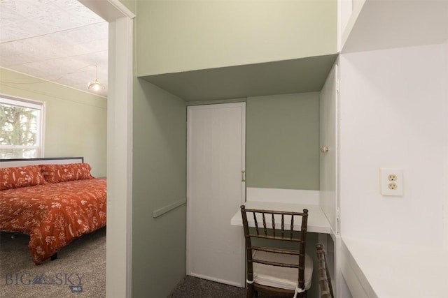 209 S Tracy, Bozeman, MT 59715 - view of carpeted bedroom