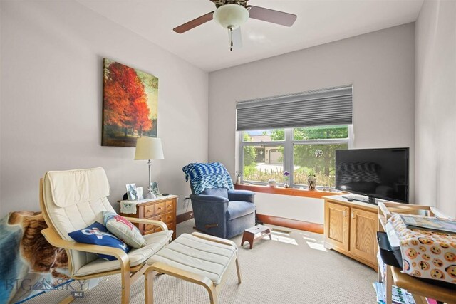 93 Cedar Shade Ln, Bozeman, MT 59718 - photo 42