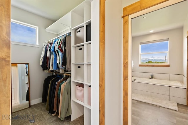 3483 Highline Rd, Manhattan, MT 59741 - view of spacious closet