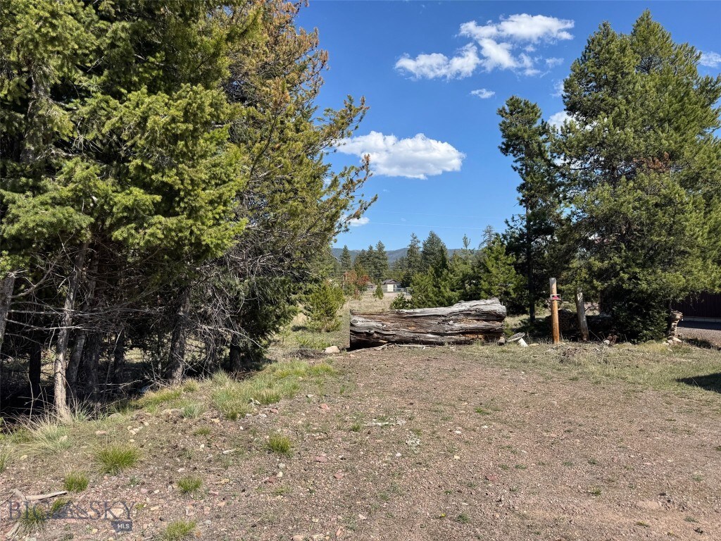 NHN Pine Dr, Seeley Lake, MT 59868 - photo 1