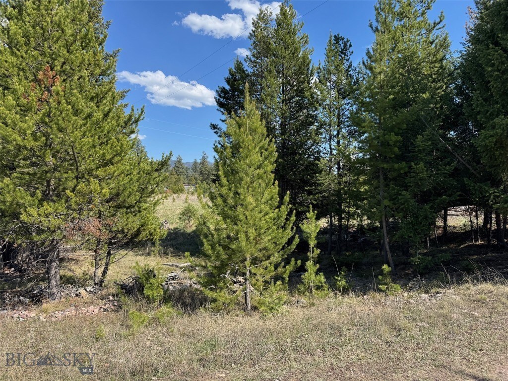 NHN Pine Dr, Seeley Lake, MT 59868 - photo 2