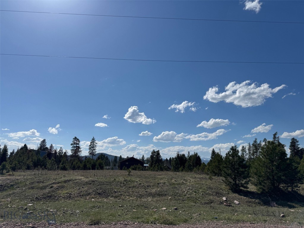 NHN Pine Dr, Seeley Lake, MT 59868 - photo 3