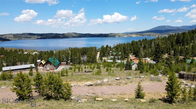 14 Highland Ln, Anaconda, MT 59711 - photo 11