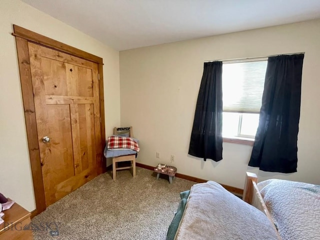 121 Ridge Ct, Dillon, MT 59725 - view of carpeted bedroom
