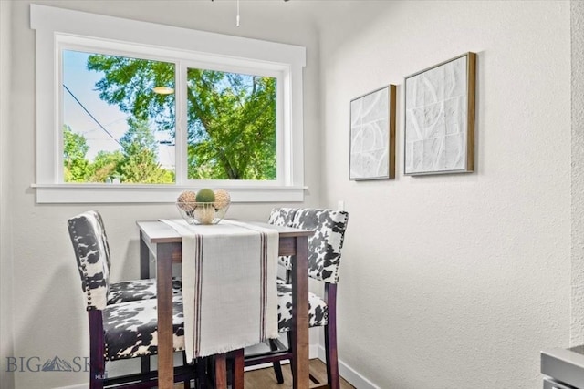 643 Parkhill, Billings, MT 59102 - dining space with healthy amount of natural light, baseboards, and wood finished floors