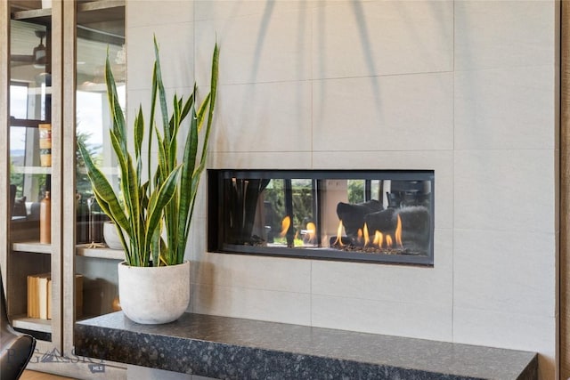 646 Arrow Trl, Bozeman, MT 59718 - detailed view of a tiled fireplace