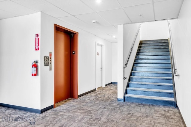 1704 W Lincoln Unit 5B, Bozeman, MT 59715 - stairs featuring carpet flooring, elevator, baseboards, and a drop ceiling
