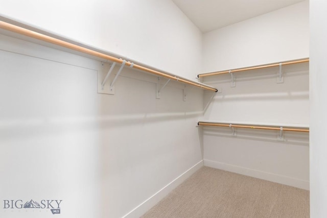 1609 Wyatt Earp Ct, Belgrade, MT 59714 - walk in closet featuring carpet floors